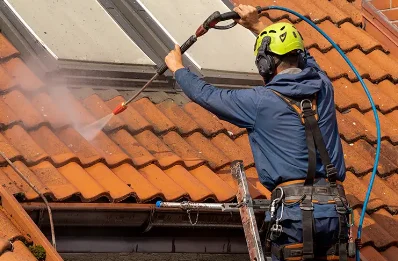 Démoussage et hydrofuge de toiture à Colombe